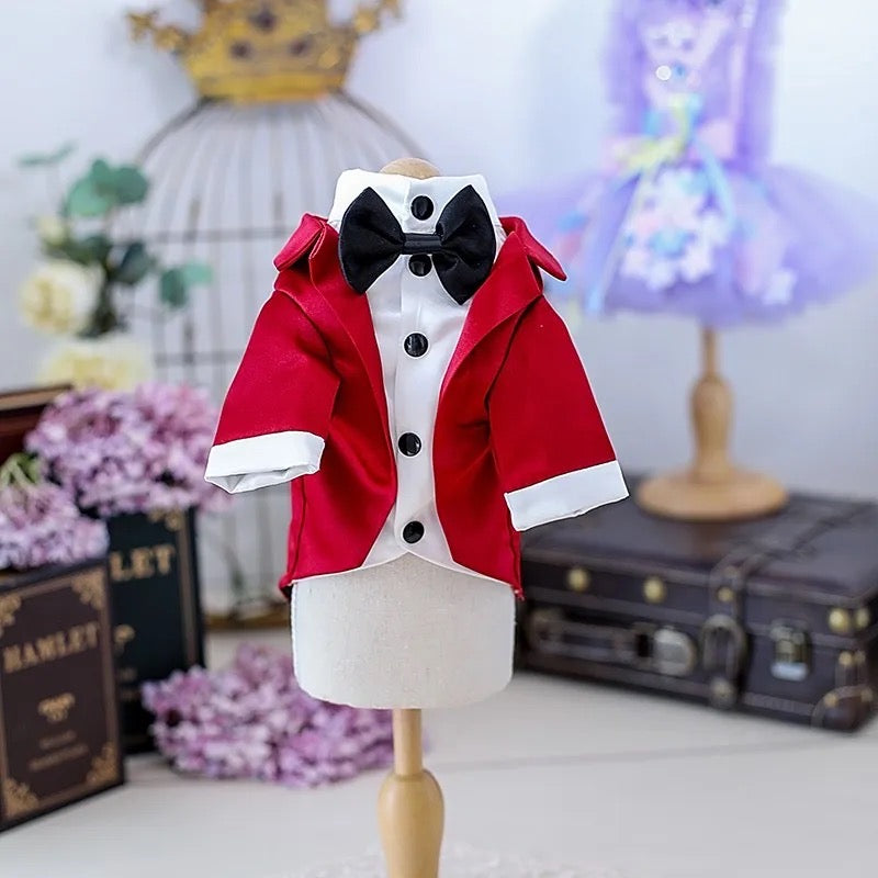 Costume de smoking élégant pour chien | Tenue de cérémonie pour chien