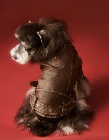 Veste pour chien Lenny | Veste pour chien par temps froid
