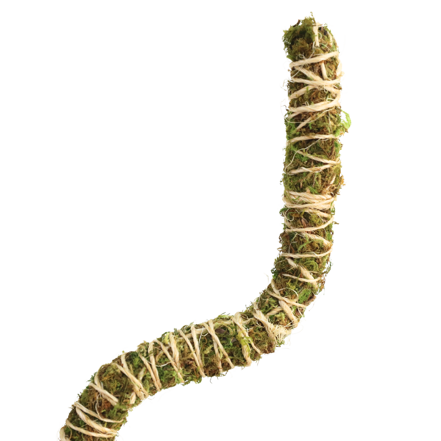 The Bendable Moss Pole™ 𝘛𝘏𝘐𝘕