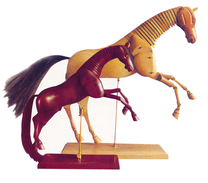 Horse Mannequin