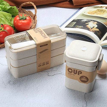 Microwave-Safe Multi Layer Lunch Box for Kids