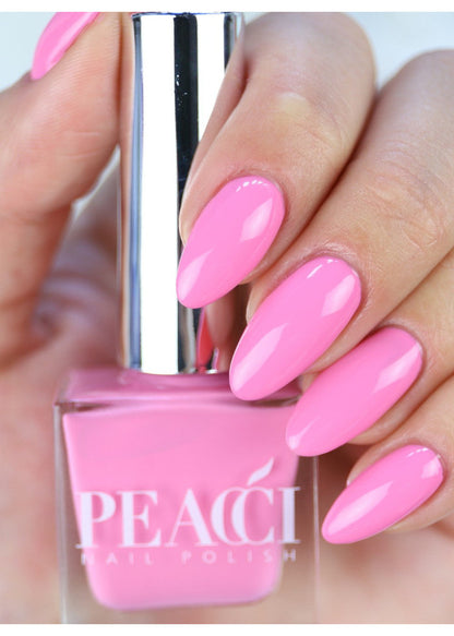 Peacci Pink Carnation