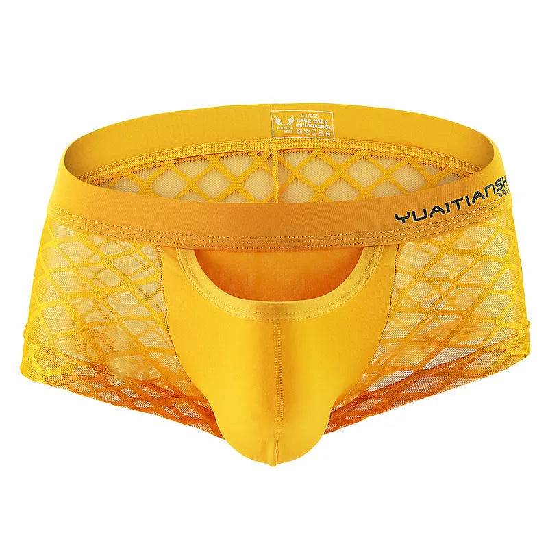 Caleçons boxeurs en maille de nylon respirante pour hommes, assortis à tout
