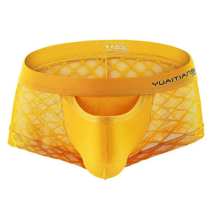 Caleçons boxeurs en maille de nylon respirante pour hommes, assortis à tout