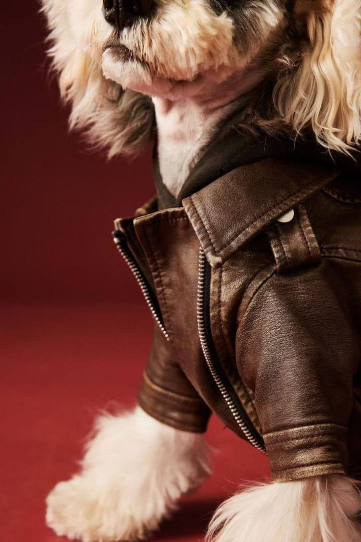 Veste pour chien Lenny | Veste pour chien par temps froid