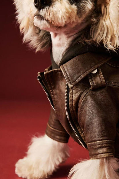 Veste pour chien Lenny | Veste pour chien par temps froid