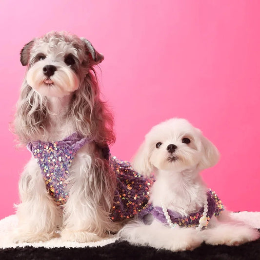 Robe à paillettes Saint-Sylvestre pour chien | Robe de soirée de luxe pour animaux de compagnie