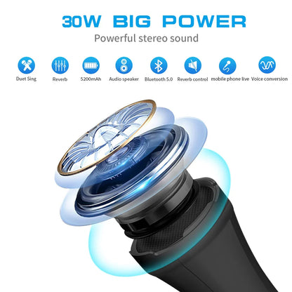 Lewinner L-1098 karaoke Microphone 30W Professional Wireless Bluetooth Mic Handheld Portable Speaker support mobile phone live