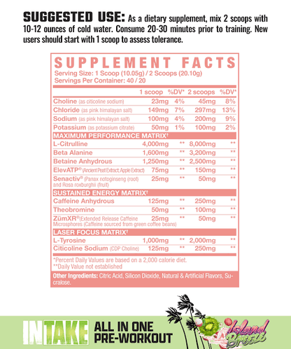 Axe & Sledge Intake Pre-Workout