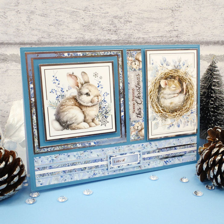 Snow Adorable Adorable Scorable Selection