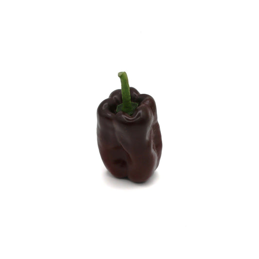 Hot Peppers - Ancho - Fresh Harvest Fruiting Crop