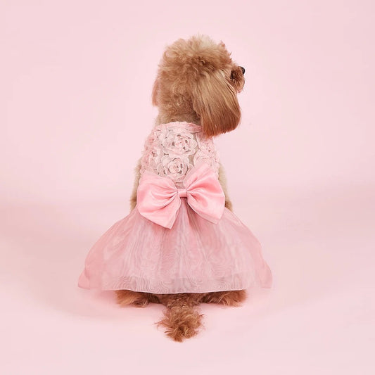 Robe Daphné
