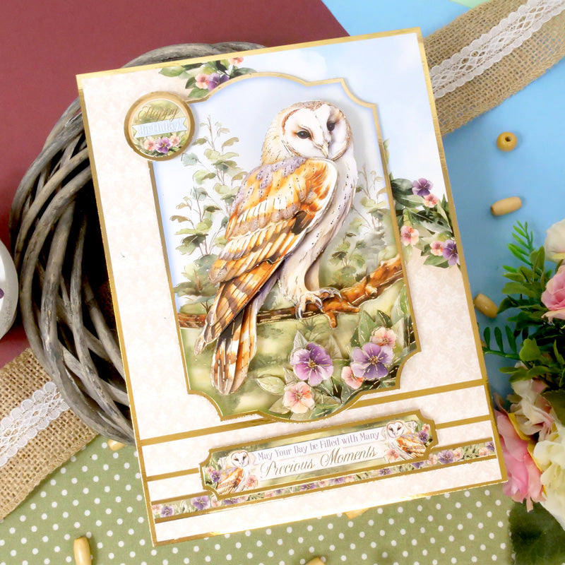 Beautiful Birds Designer Deco-Large Collection