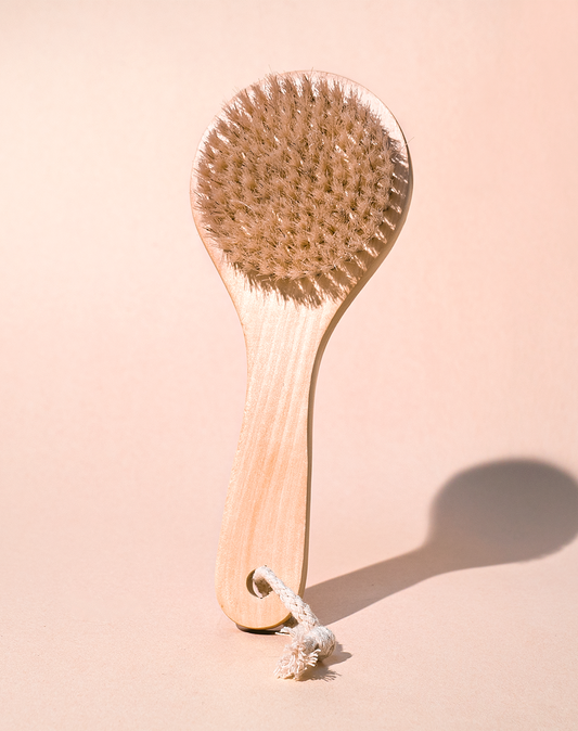 Brosse sèche pour le corps
