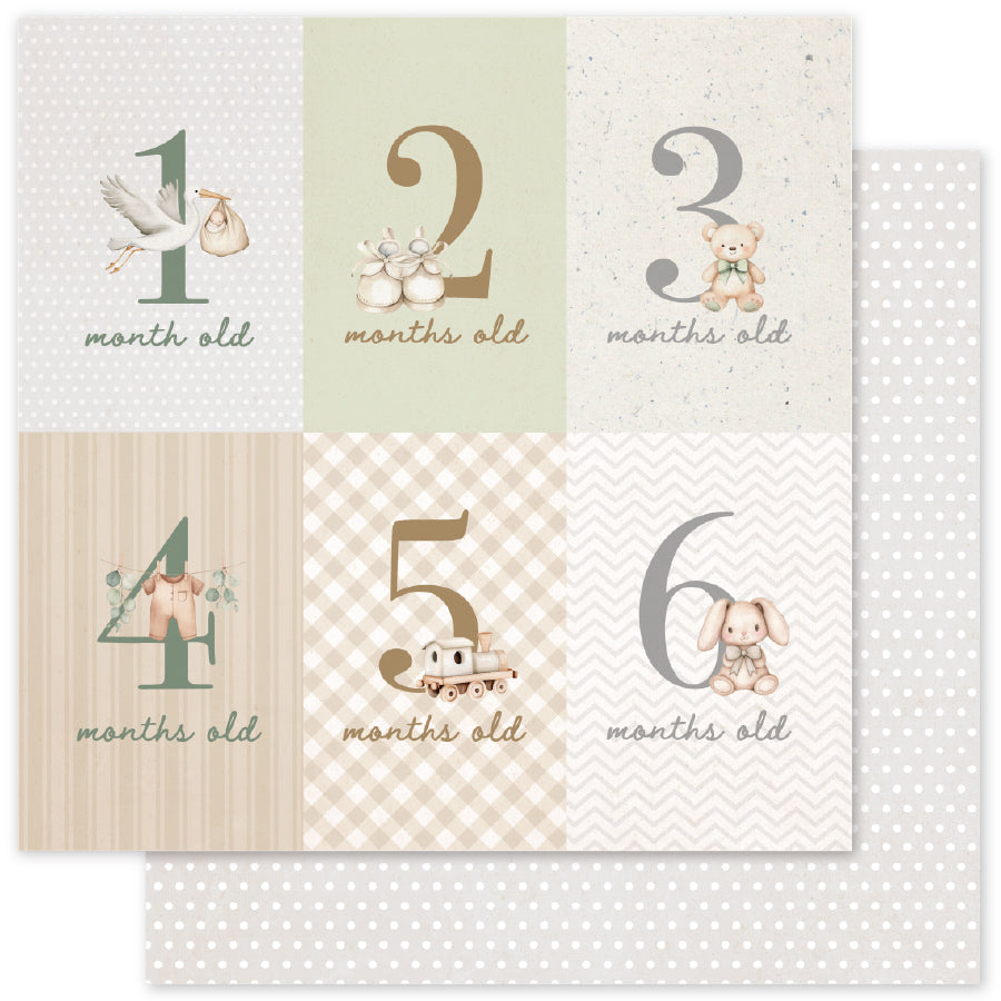 Collection de papiers Boho Baby Basics 6x6 35098
