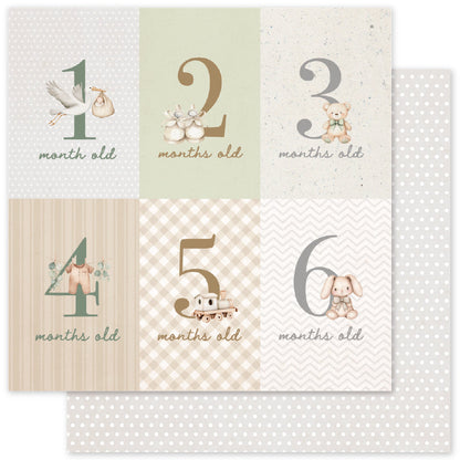 Collection de papiers Boho Baby Basics 6x6 35098