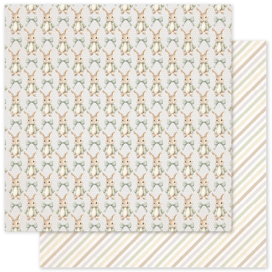Collection de papiers Boho Baby Basics 6x6 35098
