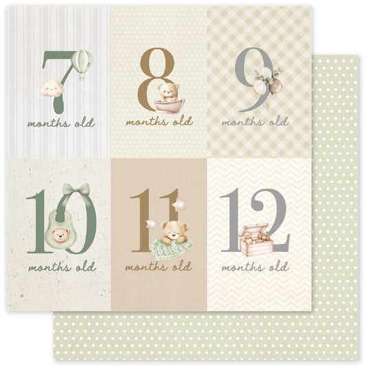 Boho Baby Basics D 12x12 Paper (12pc Bulk Pack) 35113