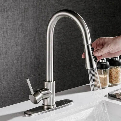 Brushed Kitchen Sink Faucet with Sprayer - Stainless Steel
