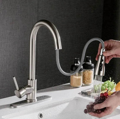 Brushed Kitchen Sink Faucet with Sprayer - Stainless Steel