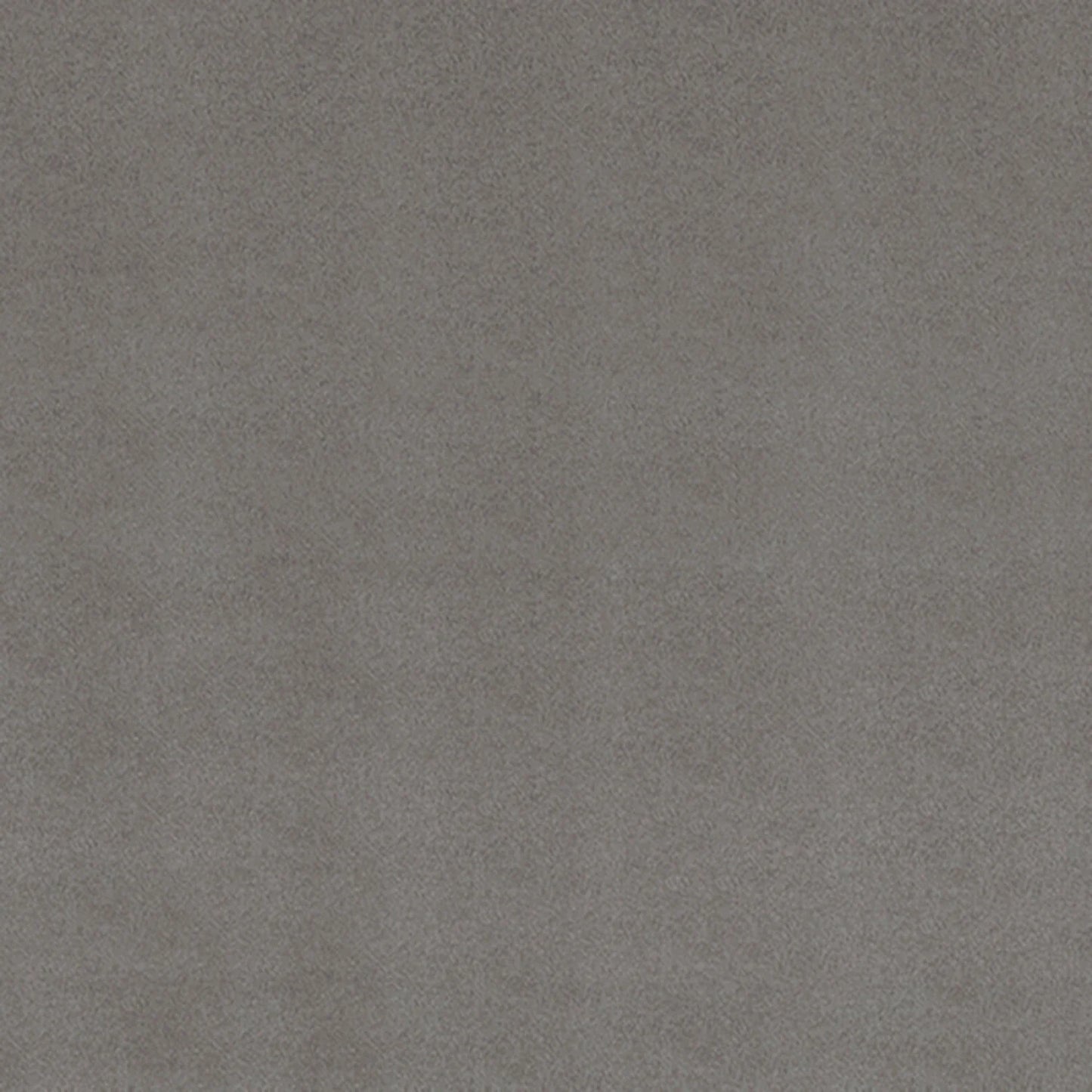 Shannon Fabrics - Cuddle - Alloy Cuddle Solid 90in Wide