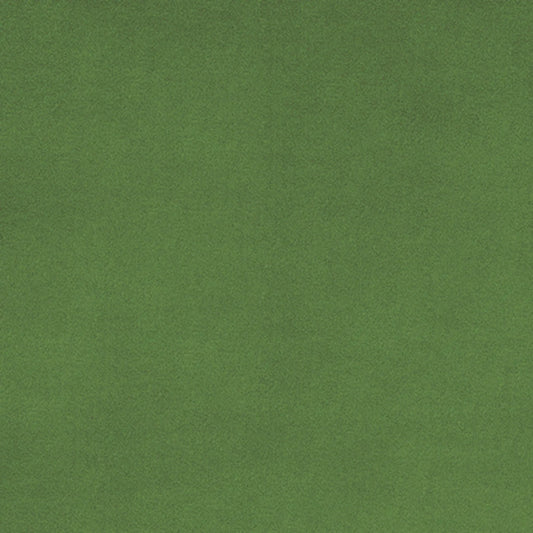 Shannon Fabrics - Cuddle - Basil Solid Cuddle 90in Wide