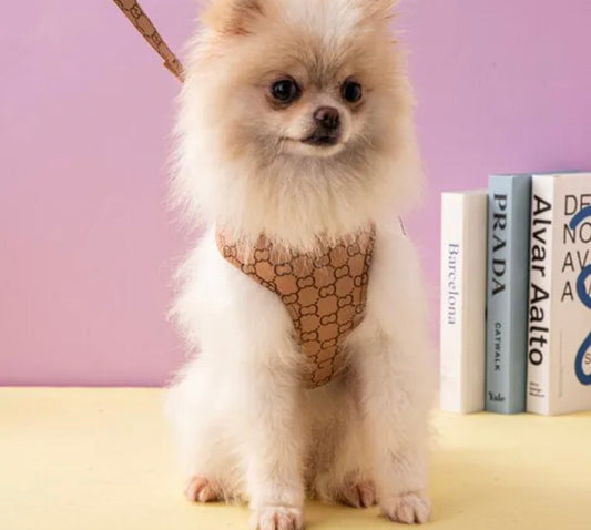 Ensemble Harnais et Laisse Gigi pour chien | Tenue de promenade pour chien