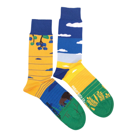 Chaussettes Paysage Canadien Prairie Friday Sock Co pour homme