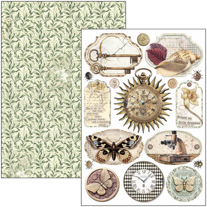 Cabinet Of Curiosities Creative Pad A4 9/Pkg