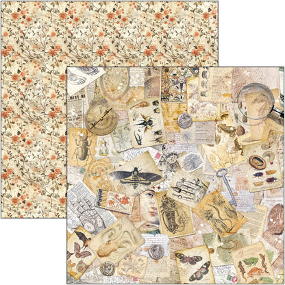 Cabinet Of Curiosities Pad 8"x8" 12/Pkg