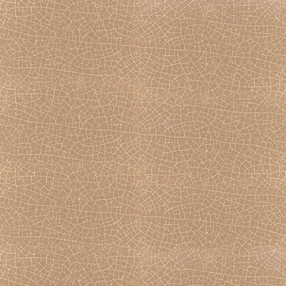 Ciao Bella Farmhouse Garden Paper Pad 12"x12" 12/Pkg