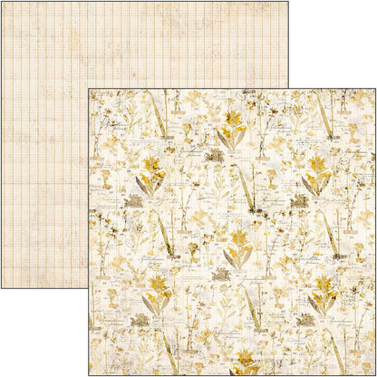 Wizard Academy Paper Pad 12"x12" 12/Pkg