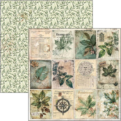Cabinet Of Curiosities Paper Pad 12"x12" 12/Pkg