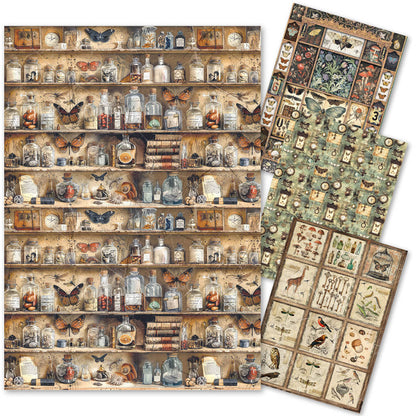 Rice Paper A4 MIXED 4/Pkg Cabinet Of Curiosities