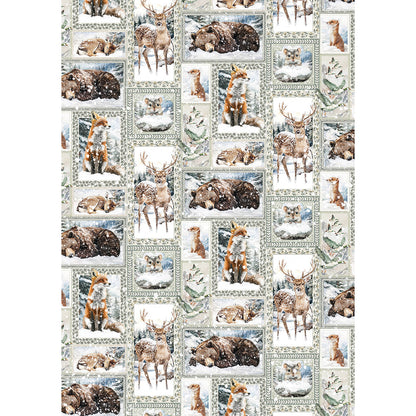 Rice Paper A5 MIXED 8/Pkg Forest Tales