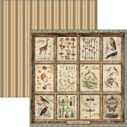 Cabinet Of Curiosities Patterns Pad 12"x12" 8/Pkg