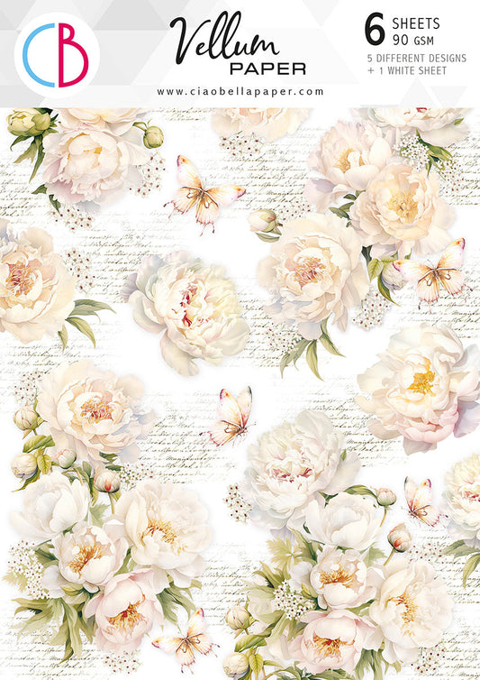 Vellum Always & Forever Paper Patterns A4 6/Pkg