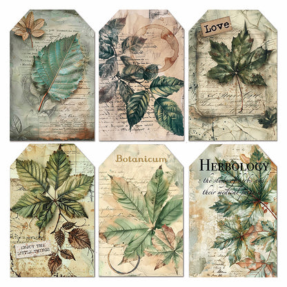 Vellum Cabinet Of Curiosities Fussy Cut 6"x6" 6/Pkg