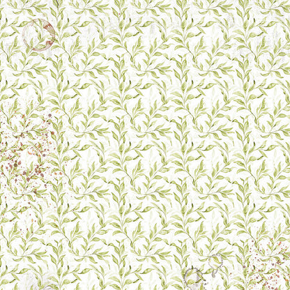 Vellum Cabinet Of Curiosities Fussy Cut 6"x6" 6/Pkg