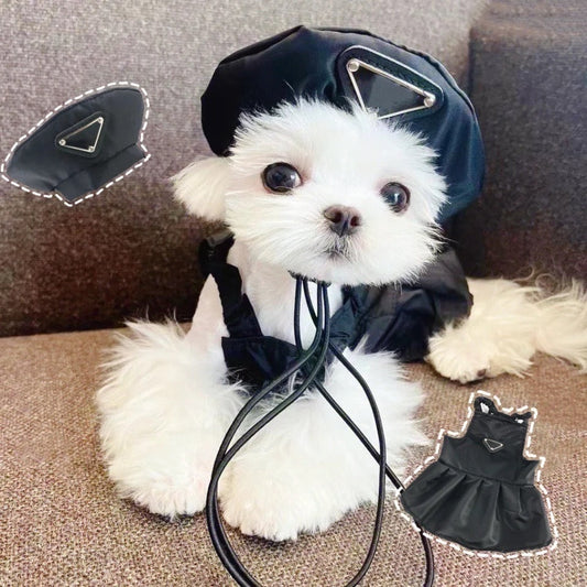 Ensemble chapeau et robe Pawda – Ensemble de tenue pour chien