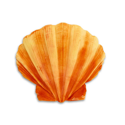 Moule en silicone Coquillage