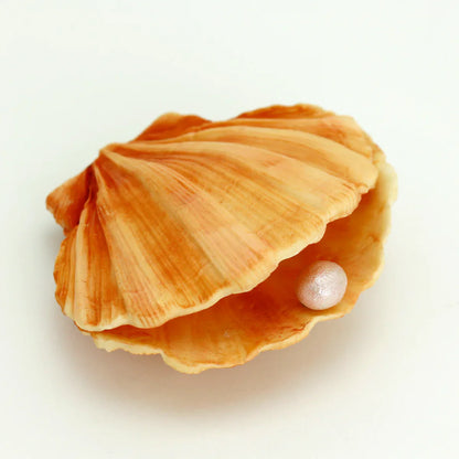 Moule en silicone Coquillage