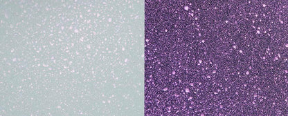 Cosmic Shimmer Vaporisateurs Sans Air Nacrés 50ml