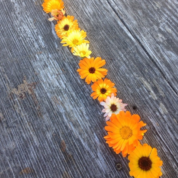 The Family Flower Pack