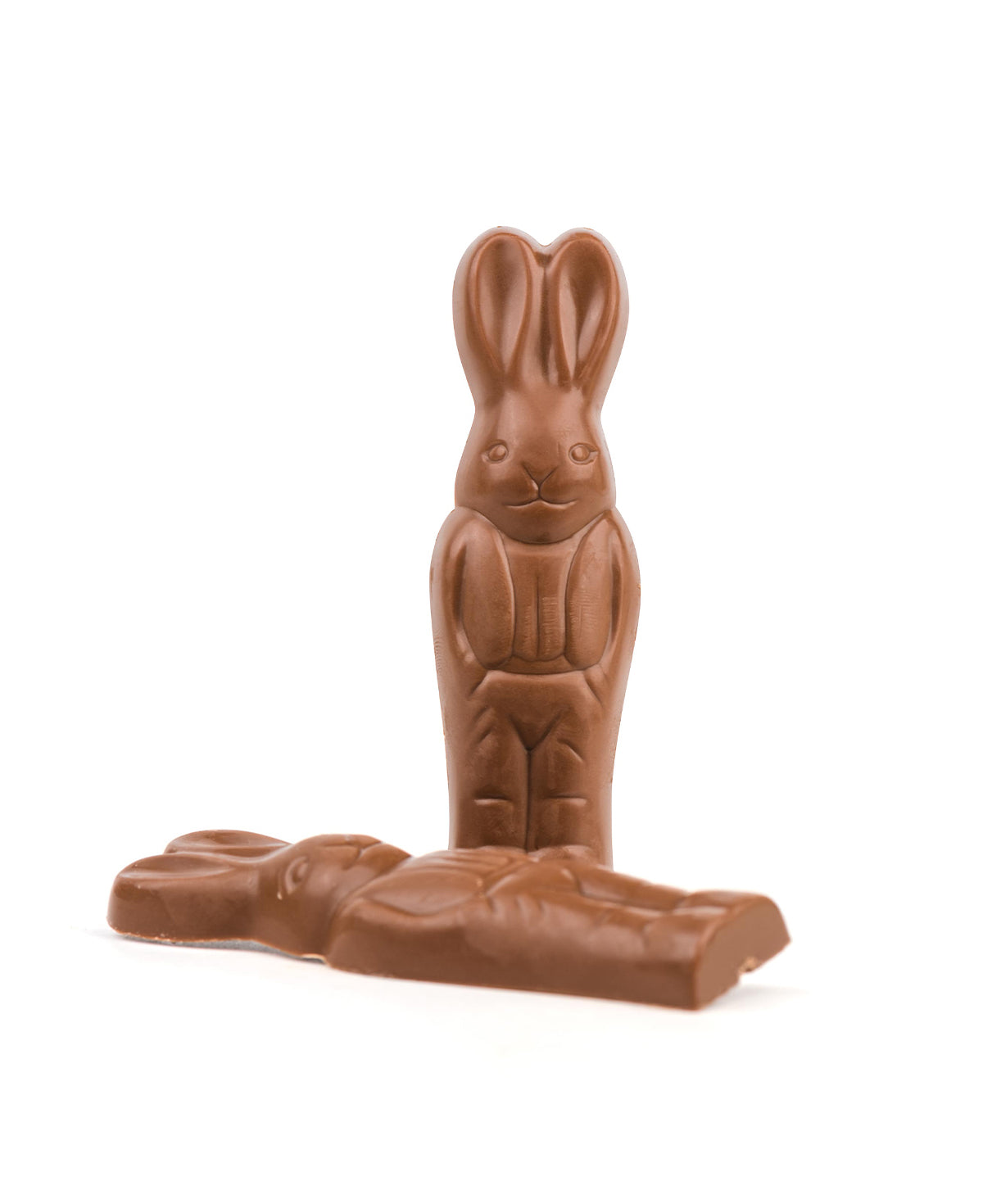 Cody le Lapin