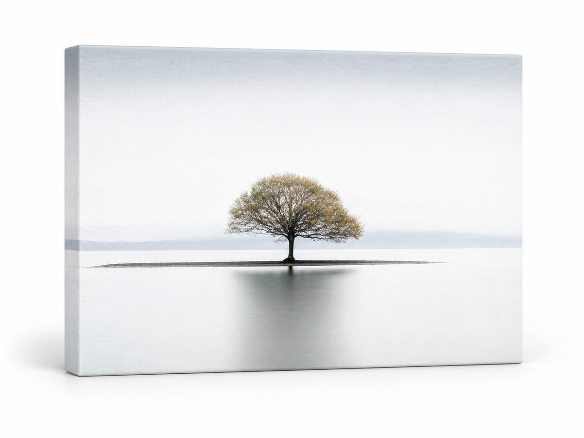 Solitude Canvas Wall Art | Minimalist Lone Tree Fine Art Print | Diamond Finish | 3 Sizes
