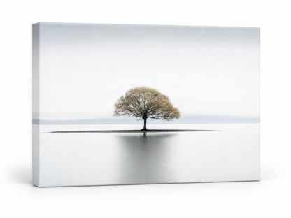 Solitude Canvas Wall Art | Minimalist Lone Tree Fine Art Print | Diamond Finish | 3 Sizes