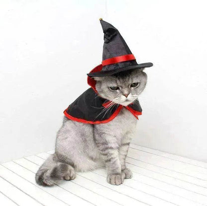 Cross border Halloween Pet Cloak Saint costume