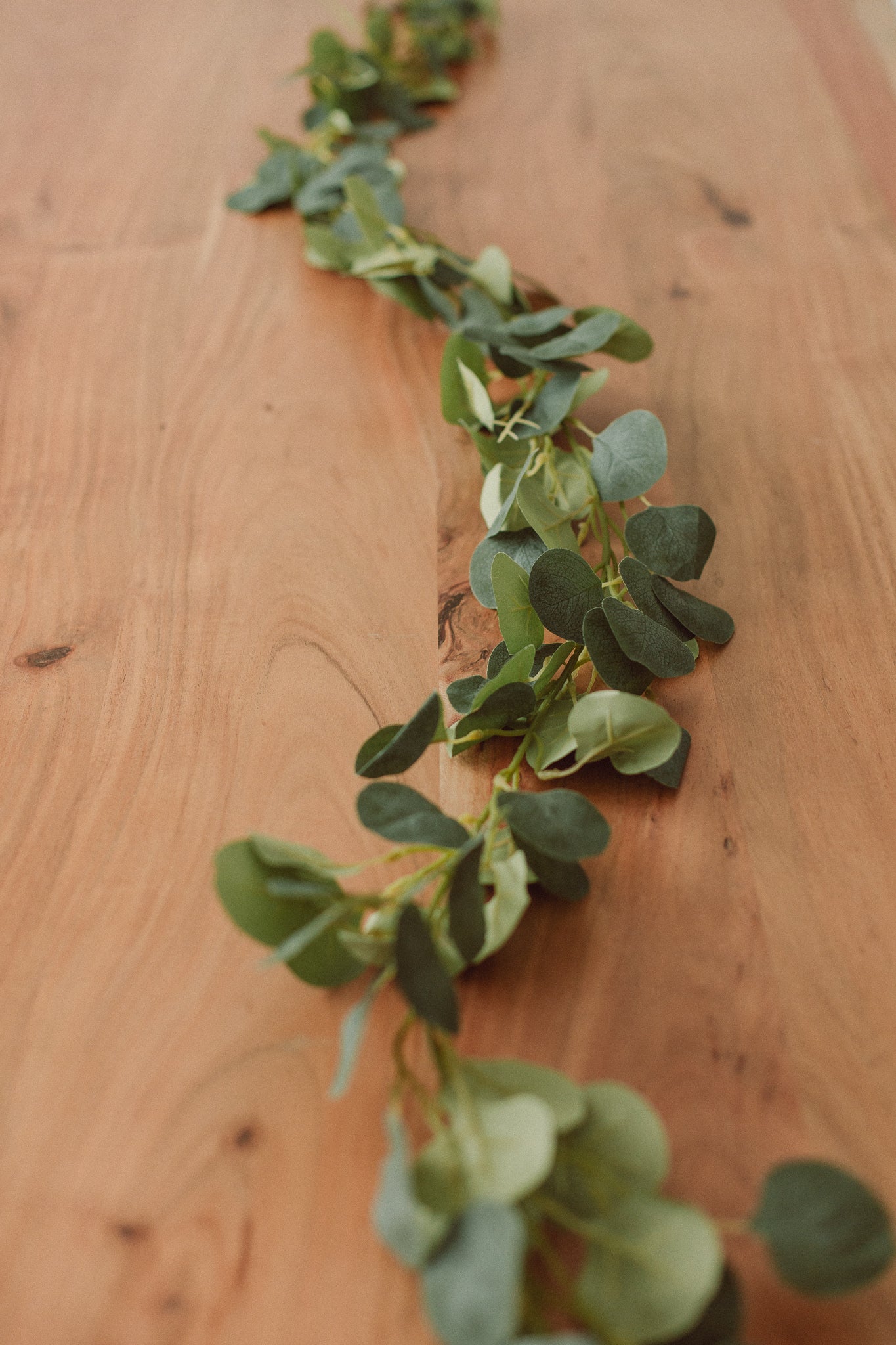 Guirlande d'eucalyptus standard (artificielle)