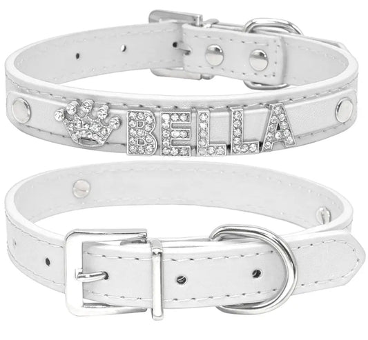 Collier pour chien Heirloom Name | Collier pour chien personnalisé